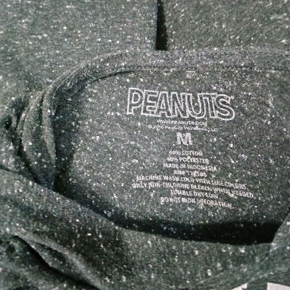 Peanuts Short Sleeve Hoodie Tee Shirt Sz M Snoopy Stay Fly Basketball Gray - Picture 4 of 4
